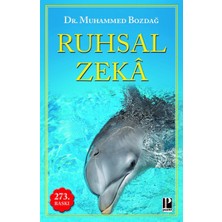 Pozitif Yayınları Ruhsal Zeka