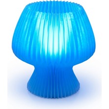 My Craft 3D MYCRAFT3D Akordeon Tasarım Masa Lambası - 3D Pleated Doku Dekoratif Gece Lambası Modern Ev Hediyesi Aydınlatma