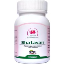 Herba Ayurvedica Shatavari (Asparagus Racemosus) 500 Mg 60 Kapsül – Kadınlara Özel Bitkisel Takviye