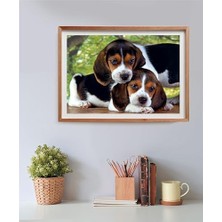 İlanib Ticaret 500 Parça Yüksek Kaliteli Puzzle Close Together (Compact Box)