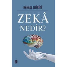İlanib Ticaret Zeka Nedir?