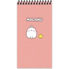 Keskin Color Molang 10*19 80 Yp Çiz. Spr.karton Kapak Defter - Kırmızı