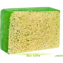 İlanib Ticaret Doğal Kabak Lifli Aloe Vera Sabunu 120 gr x 3 Adet Tüm Cilt Tipleri Için B ve E Vitaminli