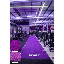 Rane Kızak Halısı 2 mt En 10 mt Uzunluk