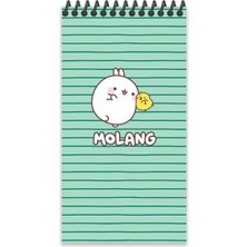 Keskin Color Molang 10*19 80 Yp Çiz. Spr.karton Kapak Defter - Yeşil
