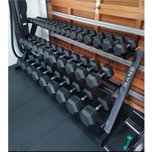 Rane Dambıl Standı