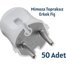 Orel Mimoza Topraksız Erkek Fiş 50 Adet