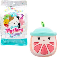 Squishmallows Mystery Squad Kokulu Sürpriz Figür 13 cm CR07996