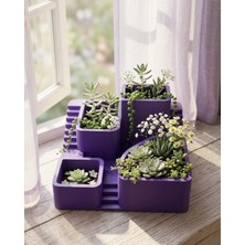 GIGA Dekoratif 3D Kaktüs Saksısı Çok Bölmeli Minimal Bitki Düzenleyici