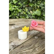 Mi-Ça Home Juvenna Sukulent Mum Kalıbı (Silikon)