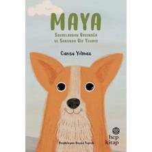 Mi-Ça Home Maya - Sokaklardan Barınağa ve Sonunda Bir Yuvaya