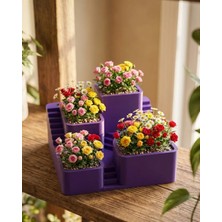 UMD Tekno 3D Tasarım Kaktüs Saksısı Çok Katlı Dekoratif Bitki Standı Uygun