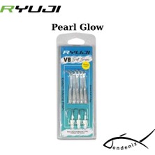 Ryuji V8 Salt Series 8 cm 5.5 gr Silikon Yem