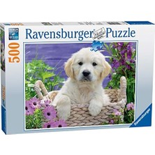 Daisy Home 500 Parça Yapboz Retriever