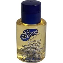 Daisy Home Necco Otel Duş Şampuanı 30 Ml. 100 Adet