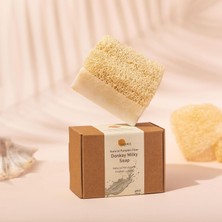 Daisy Home Doğal Kabak Lifli Eşek Sütü Sabunu - Doğal Peeling Yapan Yumuşak Lif Kabağı, Nemlendirici, Besleyici Yüz ve Vücut Sabunu 150 Gr.