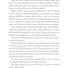 Daisy Home Yağmurdan Sonra Bahardan Önce