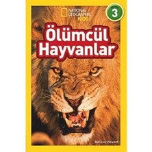 Daisy Home Ölümcül Hayvanlar: National Geographic Kids - Seviye 3 (Kapak Değişebilir)