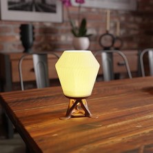 Daisy Home Modern Organik Tasarım Masa Lambası – Akışkan Formlu Minimalist | Ev ve Ofis Için Doğal Ilhamlı Dekoratif Aydınlatma