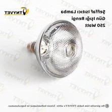 Cekar Store Tnyvet Şeffaf Renk/ınfrared Civciv, Buzağı, Kuzu Isıtıcı Lamba - Ampul 250 Watt