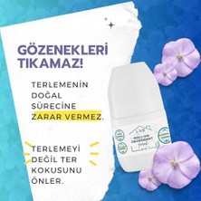 Daisy Home Lar Doğal Alüminyumsuz Parabensiz Alkolsüz Vegan Unisex Ferah Kokulu  Deodorant 1 Adet 50ML
