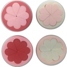 Daisy Home Makyaj Sungeri 1 Paket