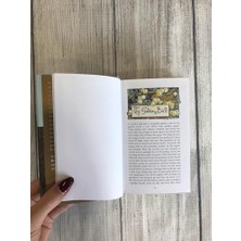 Daisy Home Grimms' Fairy Tales