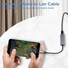 Daisy Home USB Type C Adaptör Ethernet Dönüştürücü Metalik Gri