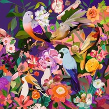 Daisy Home , 750P Puzzle Kuşlar, Yetişkin Puzzle