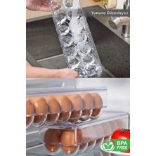 Daisy Home 14'lü Kapaklı Yumurta Saklama Kabı Şeffaf