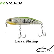 Ryuji Tetis 4.8 cm 6.3 gr Maket Yem