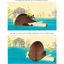 Daisy Home Ayı Geldi (Ciltli)