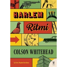 Daisy Home Harlem Ritmi
