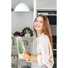 Daisy Home Le Nish Home Taze Tutma Kabı - 2'li Ekonomi Seti - Buzdolabı Organizer, Maydanoz, Dereotu ve Nane Saklama Kabı, Otların Ömrünü 3 Kat Uzatan Akıllı Tasarım (Bpa Free)