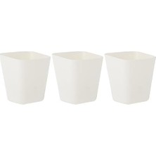 Daisy Home Kap, Beyaz, 3 Adet
