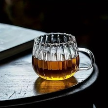 Daisy Home Mithra Life Ateşe Dayanıklı 400 ml Çizgili Borosilikat Cam Kupa Bardak MIT1099