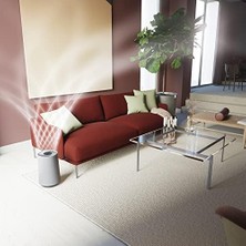 Daisy Home Effbrz2 Breeze A3 Komple Hava Filtresi (Temiz Hava, Kokuları Giderir, Optimum Filtreleme, Antibakteriyel, Alerjenleri ve Polenleri Yakalar, Beyaz)
