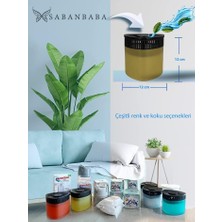 Daisy Home Rutubet Giderici Nem Alma Cihazı Üçgen Kokulu Kokusuz (Vanilya)