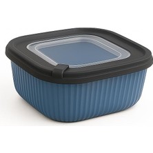 Daisy Home 600 ml Renkli Plastik Saklama Kabı | Vakum Kapaklı Sızdırmaz Gıda Saklama Kutusu | Mikrodalga ve Bulaşık Makinesi Uyumlu | Tekli Ürün