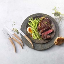 Daisy Home Zwilling 391600000 4'lü Biftek Bıçağı Seti, Kahverengi