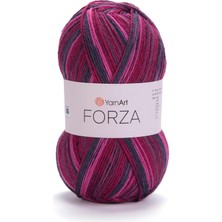 Daisy Home El Örgü Ipi Forza, 2508, 5X100 gr