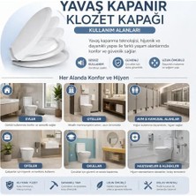Daisy Home Yavaş Kapanır Klozet Kapağı Soft Close – Sessiz Kapanma Teknolojisi, Kaydırmaz Taban, Dayanıklı Pp Plastik, Kolay Montaj, Hijyenik ve Uzun Ömürlü Tasarım