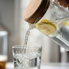 Daisy Home Deconox Mantar Kapaklı Borosilikat Cam Sürahi 2 Litre - Isıya Dayanıklı Minimalist Karaf ve Detoks Şişesi