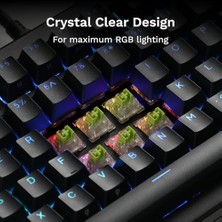 Daisy Home Oyun - Raptor Clicky Anahtarlar (36 Adet), He Hotswap Için Manyetik Anahtarlar, Oyun Için Mekanik Klavyeler, Max Rgb Için Şeffaf, Önceden Yağlanmış, Thocky Ses Için Premium Tıklama Çubuğu