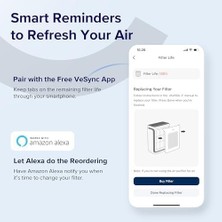 Daisy Home 100S Duman Sökücü Hava Temizleyici Değiştirme, 3'ü 1 Arada Hepa Yüksek Verimli Aktif Karbon Filtre, 100S-RF-SR (LRF-V102-BUS), 1 Paket, Mavi