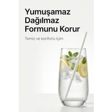 Daisy Home Kompostlanabilir Pipet |%100 Bitki Bazlı Plastik Içermez | Dayanıklı | 24 cm x 7 mm – 100 Adet