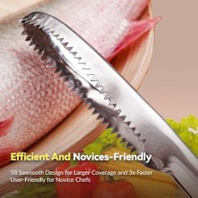 Daisy Home Balık Pulu Temizleme Aleti, Paslanmaz Çelik Dayanıklı Yapı, Tüm Balıklar Için Kullanıma Uygun, Kolay Temizlenebilir, Ev Ofis Restoran Kullanımına Uygun Paslanmaz Çelik Balık Pulu Soyacağı