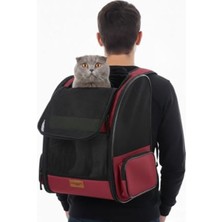 Cekar Store Pugalo Airmove Premium Kedi Köpek Taşıma Çantası, Silinebilir, Yırtılmaz Fileli, Bükülmez Gövde, Sırt Çantası Tipi (Siyah)