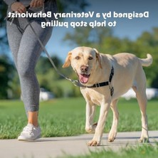 Cekar Store Easy Walk Köpek Koşum Takımı