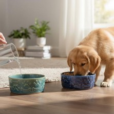 Cekar Store Ceraline 2’li Porselen Kedi Köpek Mama Kabı ve Su Kabı Evcil Hayvanlar Için (Mavi)